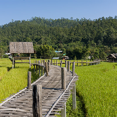 Pai Bamboo Bridge 400 02 - Chiang Mai Day Tours